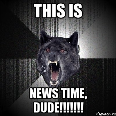 this is news time, dude!!!, Мем Сумасшедший волк