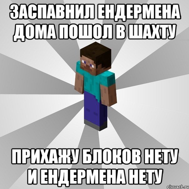 заспавнил ендермена дома пошол в шахту прихажу блоков нету и ендермена нету, Мем Типичный игрок Minecraft