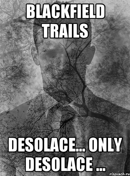 blackfield trails desolace... only desolace ..., Мем типичный человек безысходность