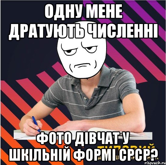 одну мене дратують численні фото дівчат у шкільній формі срср?, Мем Типовий одинадцятикласник