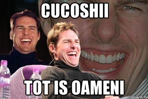 cucoshii tot is oameni, Мем том круз