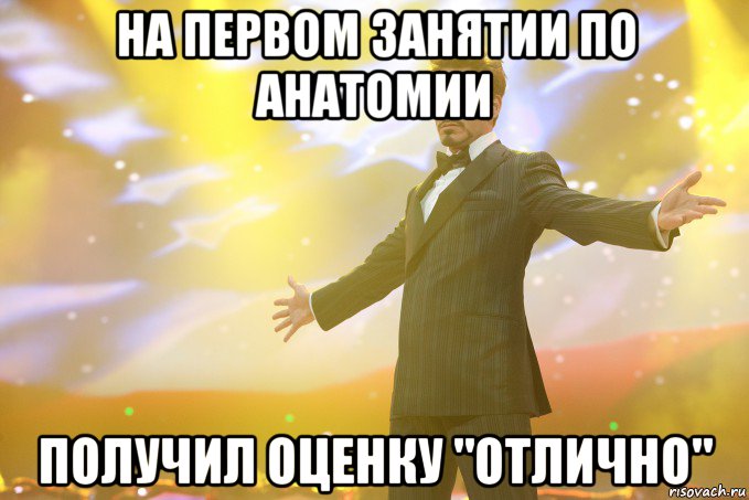 на первом занятии по анатомии получил оценку "отлично", Мем Тони Старк (Роберт Дауни младший)