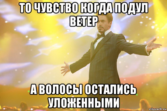 то чувство когда подул ветер а волосы остались уложенными, Мем Тони Старк (Роберт Дауни младший)