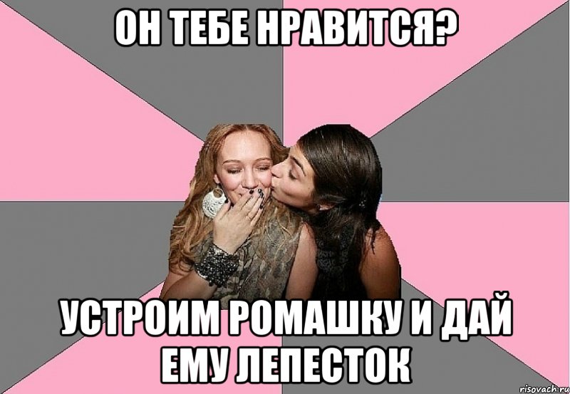 он тебе нравится? устроим ромашку и дай ему лепесток