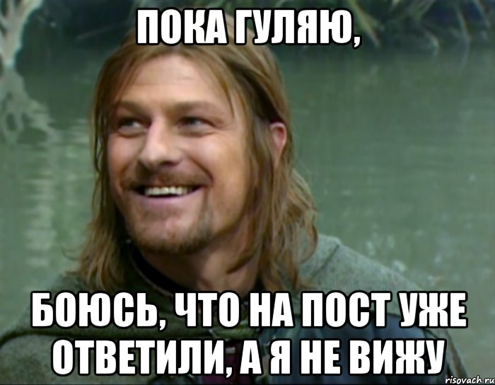 пока гуляю, боюсь, что на пост уже ответили, а я не вижу, Мем Тролль Боромир