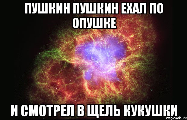 пушкин пушкин ехал по опушке и смотрел в щель кукушки, Мем Туманность