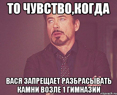 то чувство,когда вася запрещает разбрасывать камни возле 1 гимназии, Мем твое выражение лица