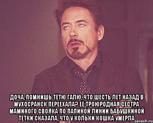  доча, помнишь тётю галю, что шесть лет назад в мухосранск переехала? её троюродная сестра маминого свояка по папиной линии бабушкиной тетки сказала, что у кольки кошка умерла, Мем твое выражение лица