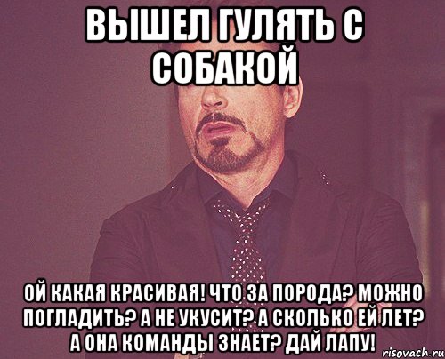 вышел гулять с собакой ой какая красивая! что за порода? можно погладить? а не укусит? а сколько ей лет? а она команды знает? дай лапу!, Мем твое выражение лица