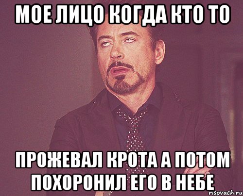 мое лицо когда кто то прожевал крота а потом похоронил его в небе, Мем твое выражение лица