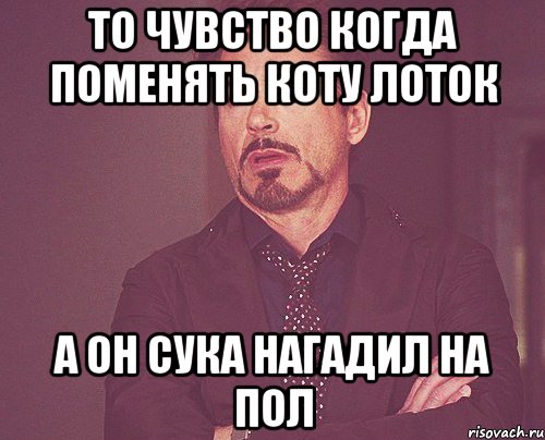 то чувство когда поменять коту лоток а он сука нагадил на пол, Мем твое выражение лица