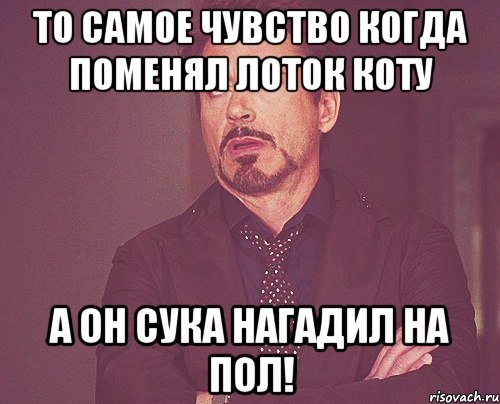 то самое чувство когда поменял лоток коту а он сука нагадил на пол!, Мем твое выражение лица