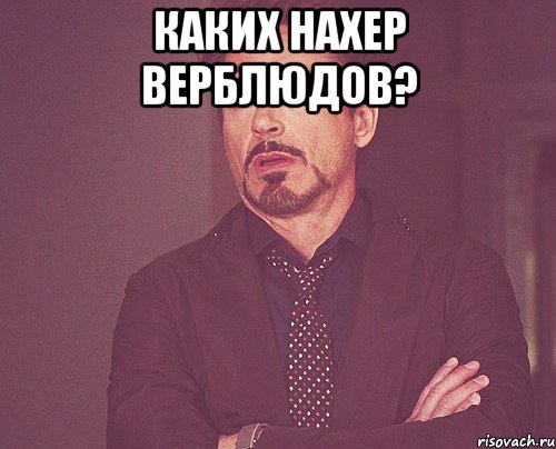 каких нахер верблюдов? , Мем твое выражение лица