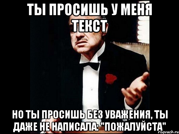 ты просишь у меня текст но ты просишь без уважения, ты даже не написала: "пожалуйста", Мем ты делаешь это без уважения