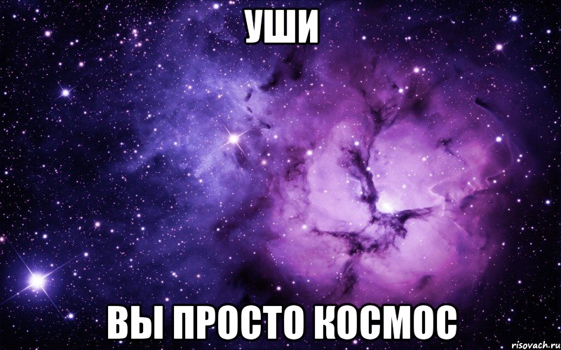 уши вы просто космос