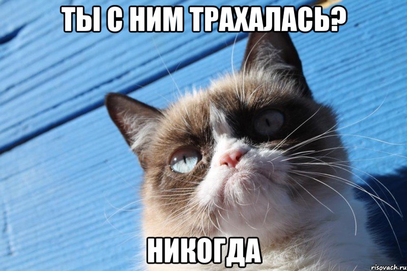 ты с ним трахалась? никогда, Мем  grumpy cat