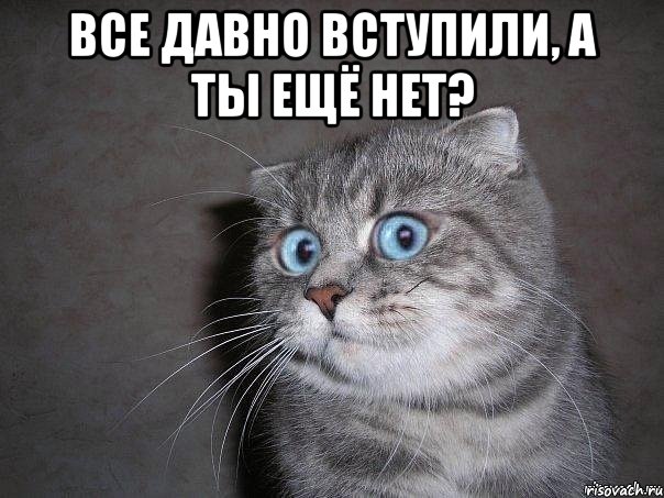 все давно вступили, а ты ещё нет? , Мем  удивлённый кот