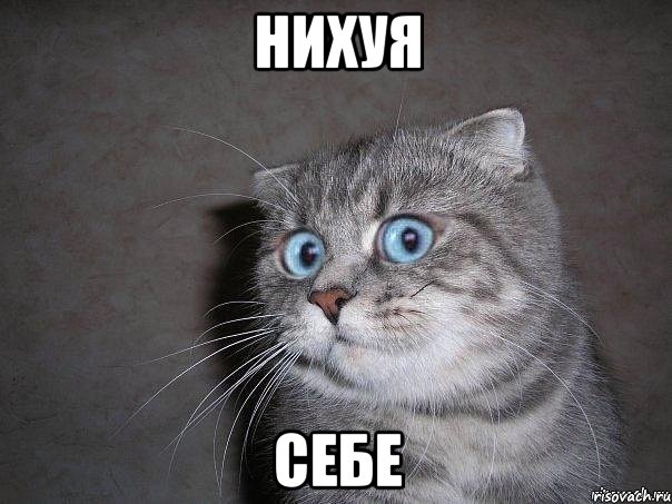 нихуя себе