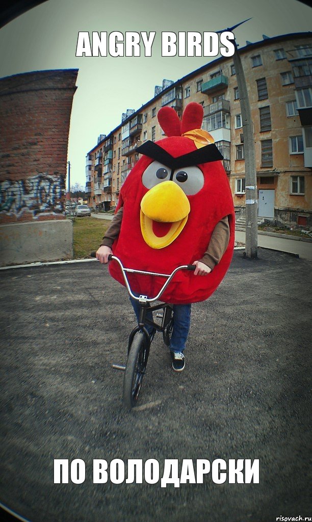 Angry Birds По Володарски