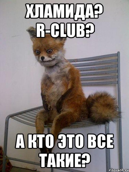 хламида? r-club? а кто это все такие?, Мем Упоротая лиса