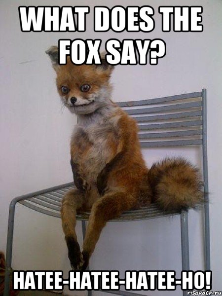 what does the fox say? hatee-hatee-hatee-ho!, Мем Упоротая лиса