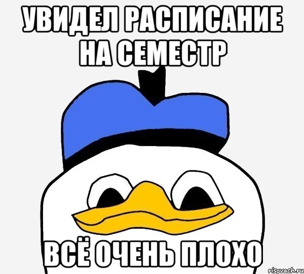 увидел расписание на семестр всё очень плохо, Мем Утка