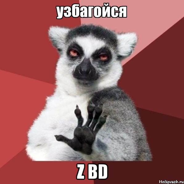  z bd, Мем Узбагойзя