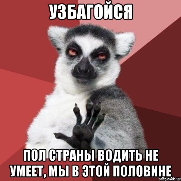 узбагойся пол страны водить не умеет, мы в этой половине, Мем Узбагойзя