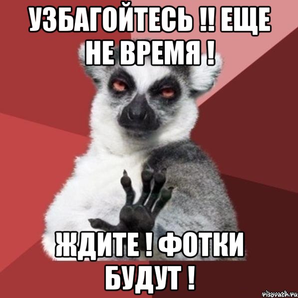 узбагойтесь !! еще не время ! ждите ! фотки будут !, Мем Узбагойзя