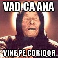 vad ca ana vine pe coridor, Мем Ванга (цвет)