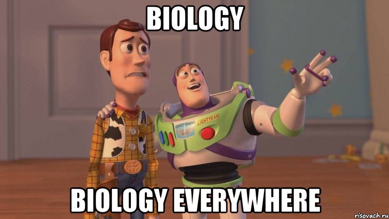 biology biology everywhere, Мем Они повсюду (История игрушек)