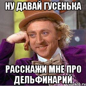 ну давай гусенька расскажи мне про дельфинарий, Мем Ну давай расскажи (Вилли Вонка)