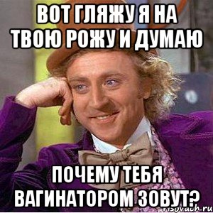 вот гляжу я на твою рожу и думаю почему тебя вагинатором зовут?, Мем Ну давай расскажи (Вилли Вонка)