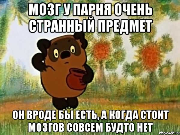 мозг у парня очень странный предмет он вроде бы есть, а когда стоит мозгов совсем будто нет, Мем Винни пух чешет затылок