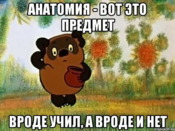 анатомия - вот это предмет вроде учил, а вроде и нет, Мем Винни пух чешет затылок