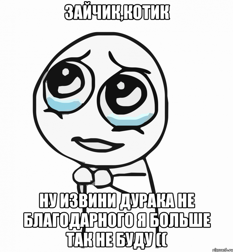 зайчик,котик ну извини дурака не благодарного я больше так не буду ((, Мем  ну пожалуйста (please)