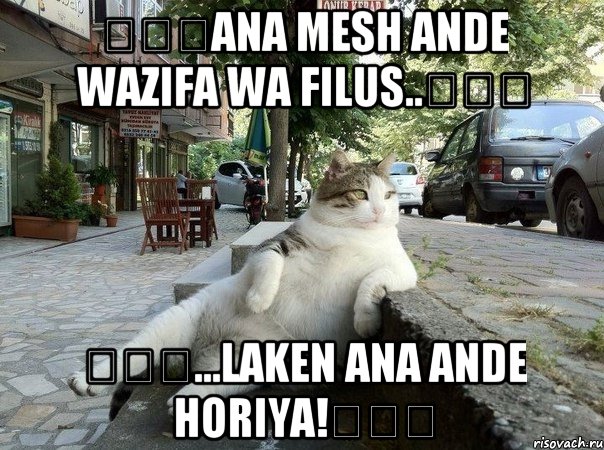 ☜♡☞ana mesh ande wazifa wa filus..☜♡☞ ☜♡☞...laken ana ande horiya!☜♡☞, Мем   Все пофиг