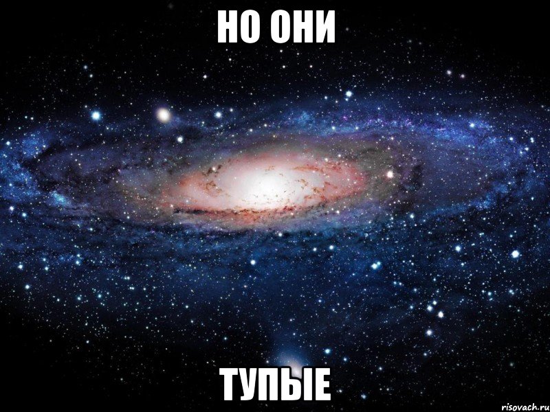 но они тупые, Мем Вселенная