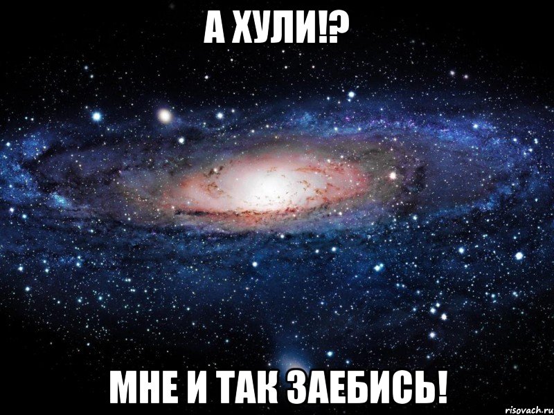 а хули!? мне и так заебись!, Мем Вселенная