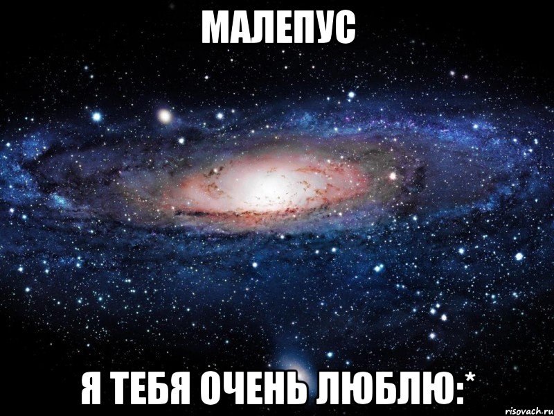 малепус я тебя очень люблю:*, Мем Вселенная