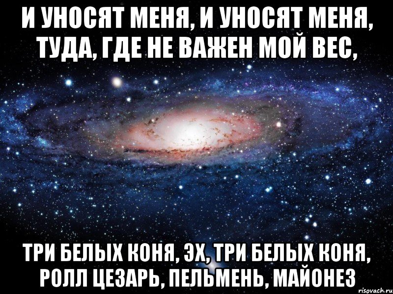 и уносят меня, и уносят меня, туда, где не важен мой вес, три белых коня, эх, три белых коня, ролл цезарь, пельмень, майонез, Мем Вселенная