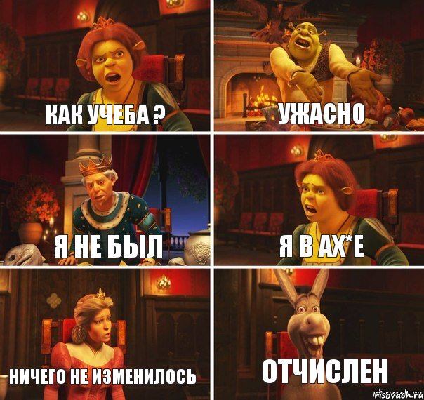 как учеба ? ужасно я не был Я в ах*е ничего не изменилось отчислен, Комикс  Шрек Фиона Гарольд Осел