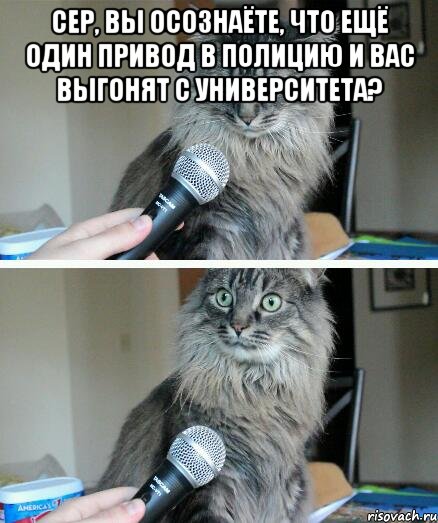 сер, вы осознаёте, что ещё один привод в полицию и вас выгонят с университета? , Комикс  кот с микрофоном