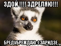 здой !!! здреляю!!! бредубреждаю :) заридзе, Мем Я збагоен