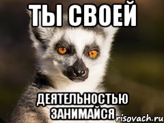 ты своей деятельностью занимайся