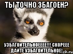 ты точно збагоен? узбагоительноееее!!! скореее дайте узбагоительное!, Мем Я збагоен