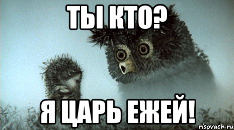 ты кто? я царь ежей!