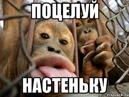 поцелуй настеньку, Мем ыыыы