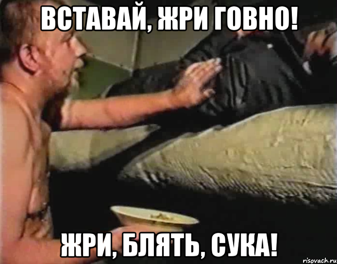 вставай, жри говно! жри, блять, сука!, Мем Зеленый слоник