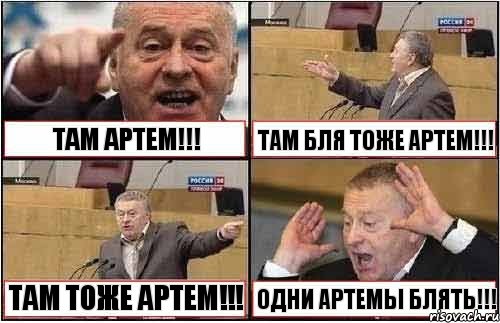 ТАМ АРТЕМ!!! ТАМ БЛЯ ТОЖЕ АРТЕМ!!! ТАМ ТОЖЕ АРТЕМ!!! ОДНИ АРТЕМЫ БЛЯТЬ!!!, Комикс жиреновский